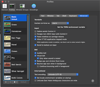 mac change terminal emulator preferences to allow login shell